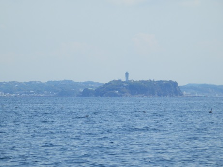 烏帽子岩、江の島沖へ